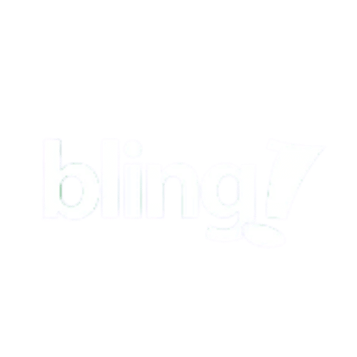 bling erp