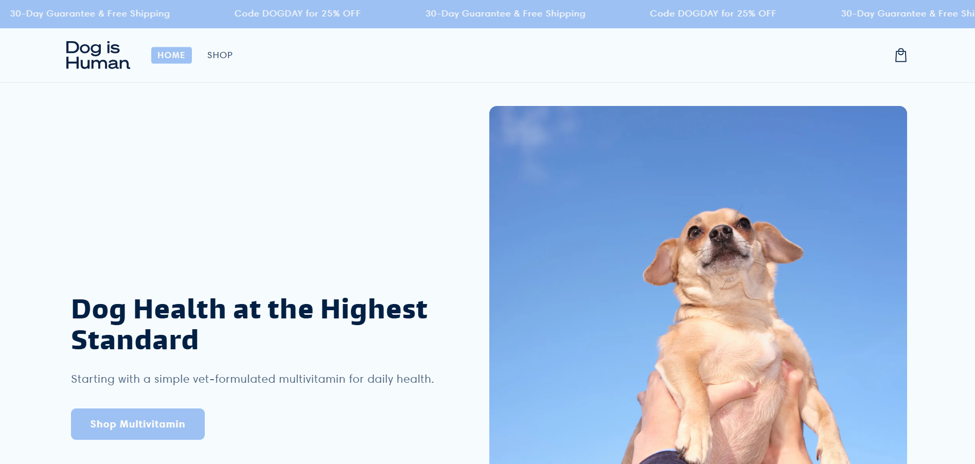 Portfolio dog is human